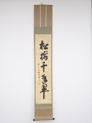 大徳寺紫野　藤井誡堂筆　「松樹千年翠」一行書　肉筆紙本掛軸（共箱）